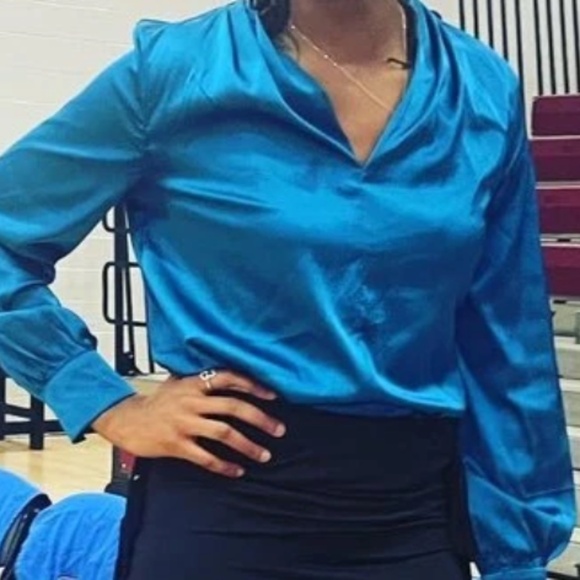 Luxe Satin V neck Long Sleeve Minimalist Blouse - Picture 5 of 11